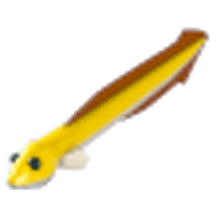 Eel - Uncommon from 23-Sep